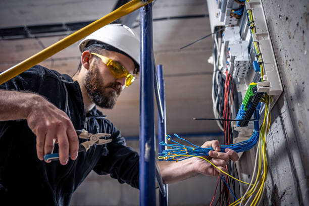 Best Licensed Electrician  in Honaunau Napoopoo, HI