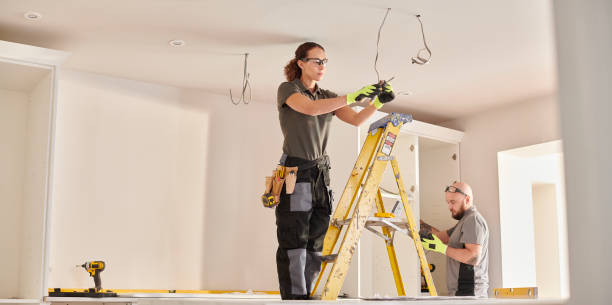 Best Electric Panel Repair  in Honaunau Napoopoo, HI