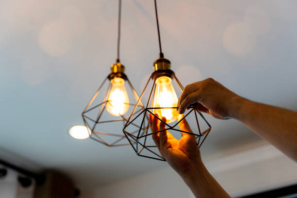 Best Ceiling Fan Installation Electrician  in Honaunau Napoopoo, HI